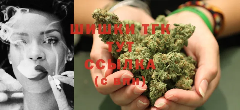 Канабис SATIVA & INDICA  где купить наркоту  Сокол 